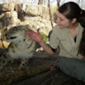 Meet your Posher, Diana